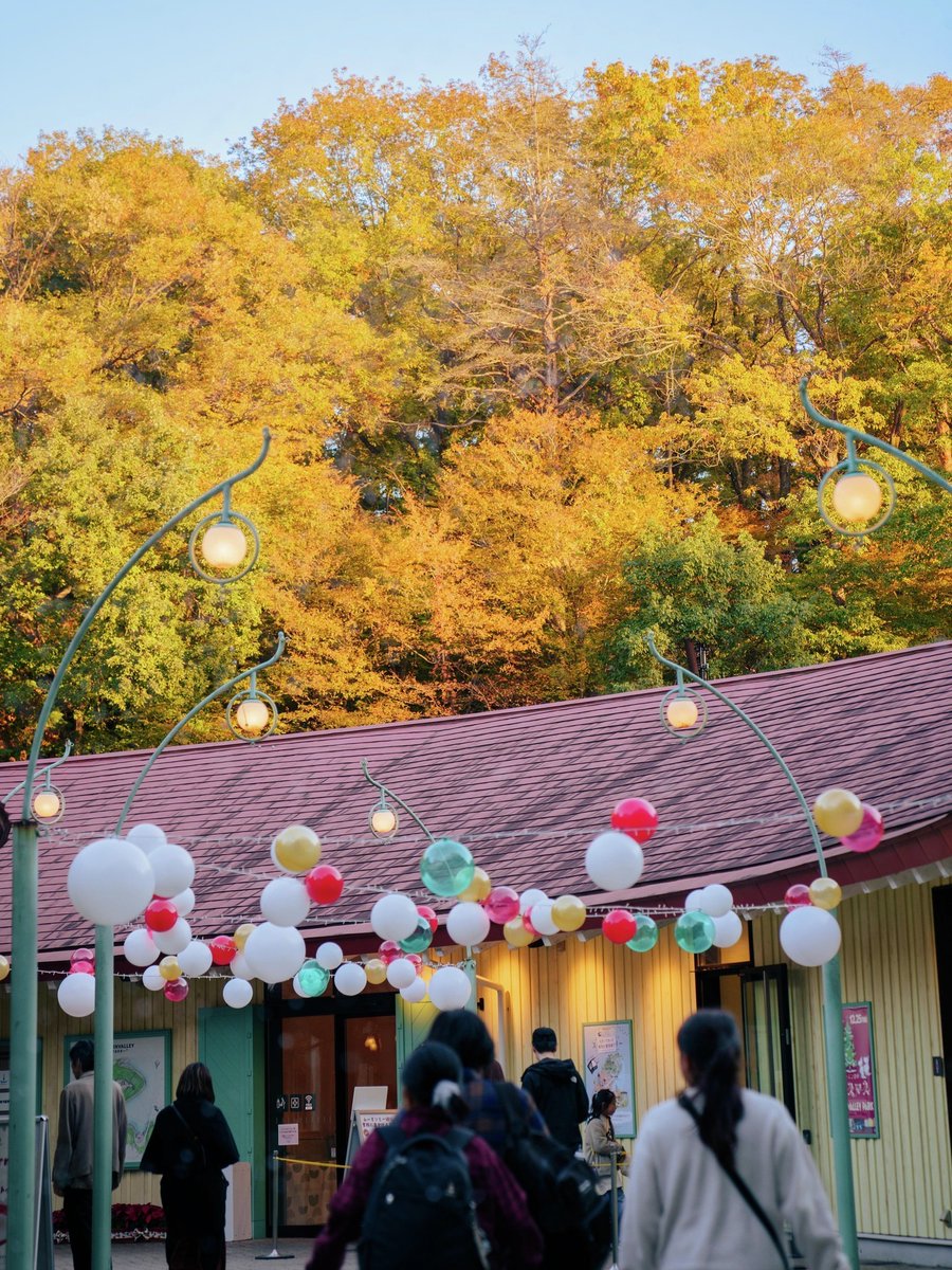 【ムーミンバレーパーク速報 番外編🍁】

今週末の3連休は紅葉が見頃！
ムーミンバレーパークは紅葉する木に囲まれた紅葉狩りにぴったりなスポットです。

隣接するメッツァビレッジから望むムーミンバレーパークと紅葉の景色は写真映えすること間違いなし！

詳しくはこちら👉metsa-hanno.com/event/41786/