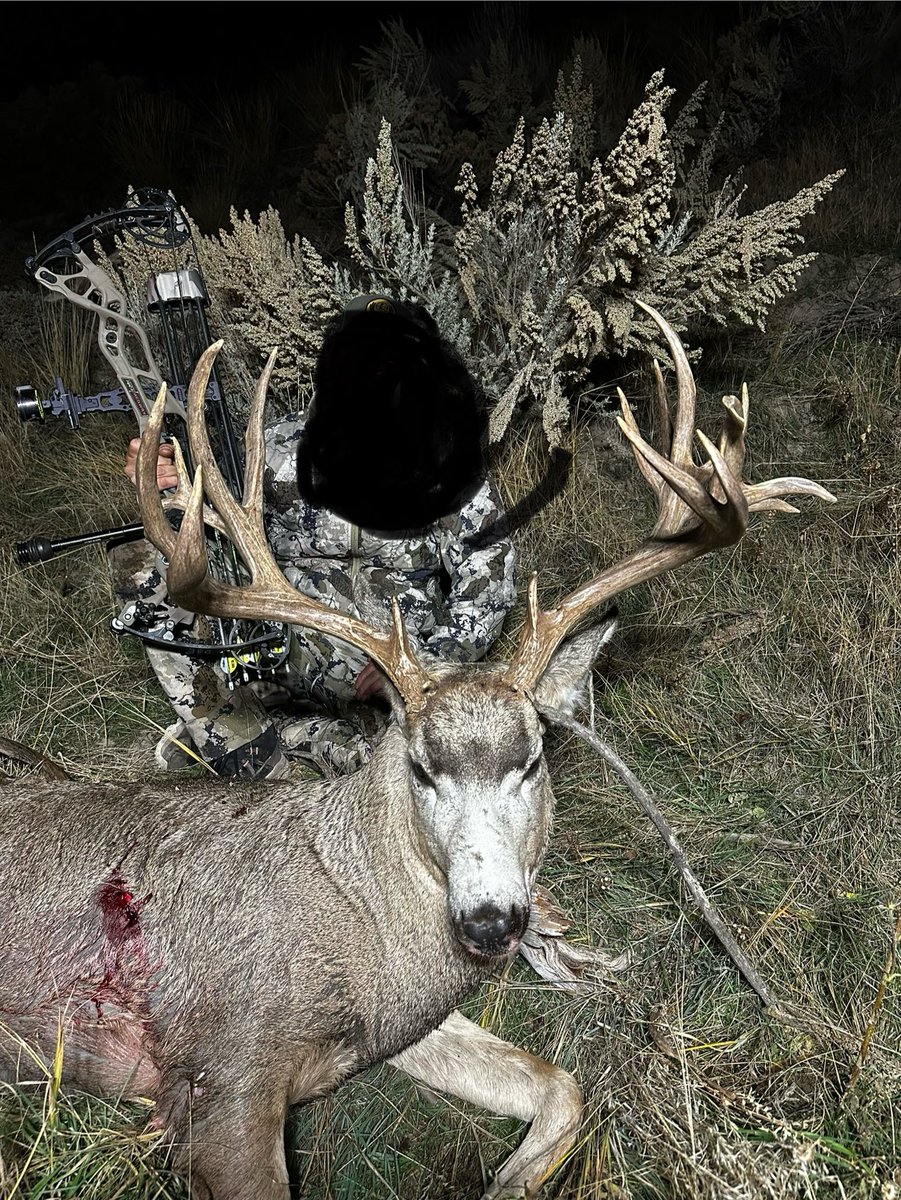 Blake Sandall tweet media