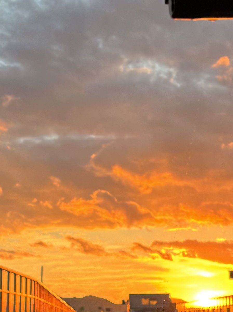 大好きな色🧡🧡🧡