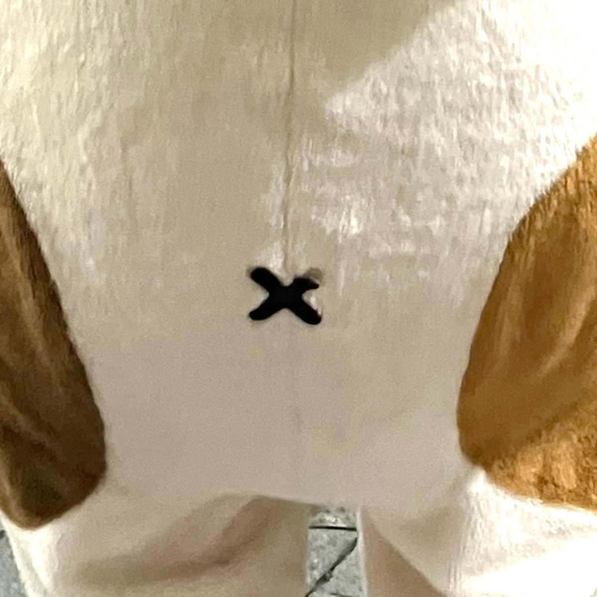 kenichi_ma's tweet image. 皆さん、お疲れ様です

ちょっと癒やし🫶

やっと水曜日が終了
それにしても初冬のよう🥶

昨日、会社帰り、カラオケまねきねこの前を通ったら&quot;まねきねこ&quot;に遭遇❗️
スマホ📱を向けたら、ポーズをとってくれました🫶

皆さん、癒されてくださいね♪

#まねきねこ #カラオケまねきねこ