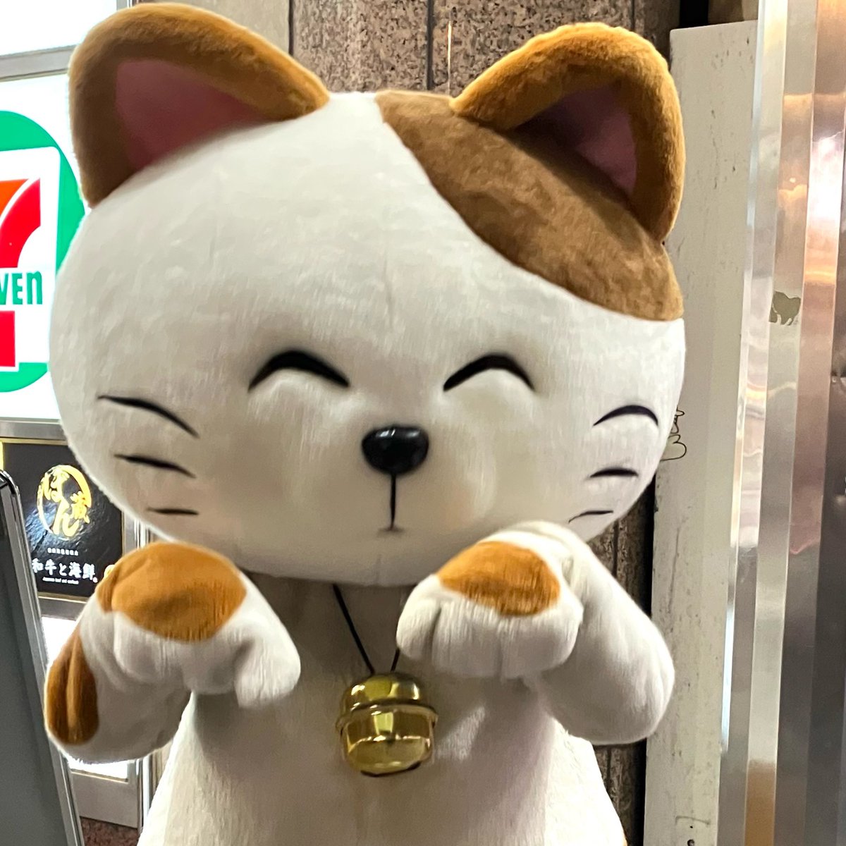 kenichi_ma's tweet image. 皆さん、お疲れ様です

ちょっと癒やし🫶

やっと水曜日が終了
それにしても初冬のよう🥶

昨日、会社帰り、カラオケまねきねこの前を通ったら&quot;まねきねこ&quot;に遭遇❗️
スマホ📱を向けたら、ポーズをとってくれました🫶

皆さん、癒されてくださいね♪

#まねきねこ #カラオケまねきねこ