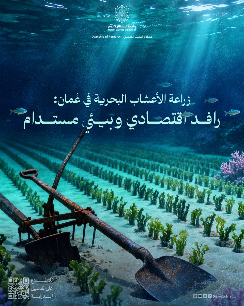 دراسة حديثة من #جامعة_السلطان_قابوس تُثبت جدوى زراعة الأعشاب البحرية باستخدام النظم التقنية الزراعية الحديثة RAS و  IMTA لضمان أعلى مستويات الإنتاجية والاستدامة البيئية.

jams.squ.edu.om/home/vol30/iss…

#نبحث_للغد
#GlobalGoals
#Agenda2030
#SustainableDevelopment
