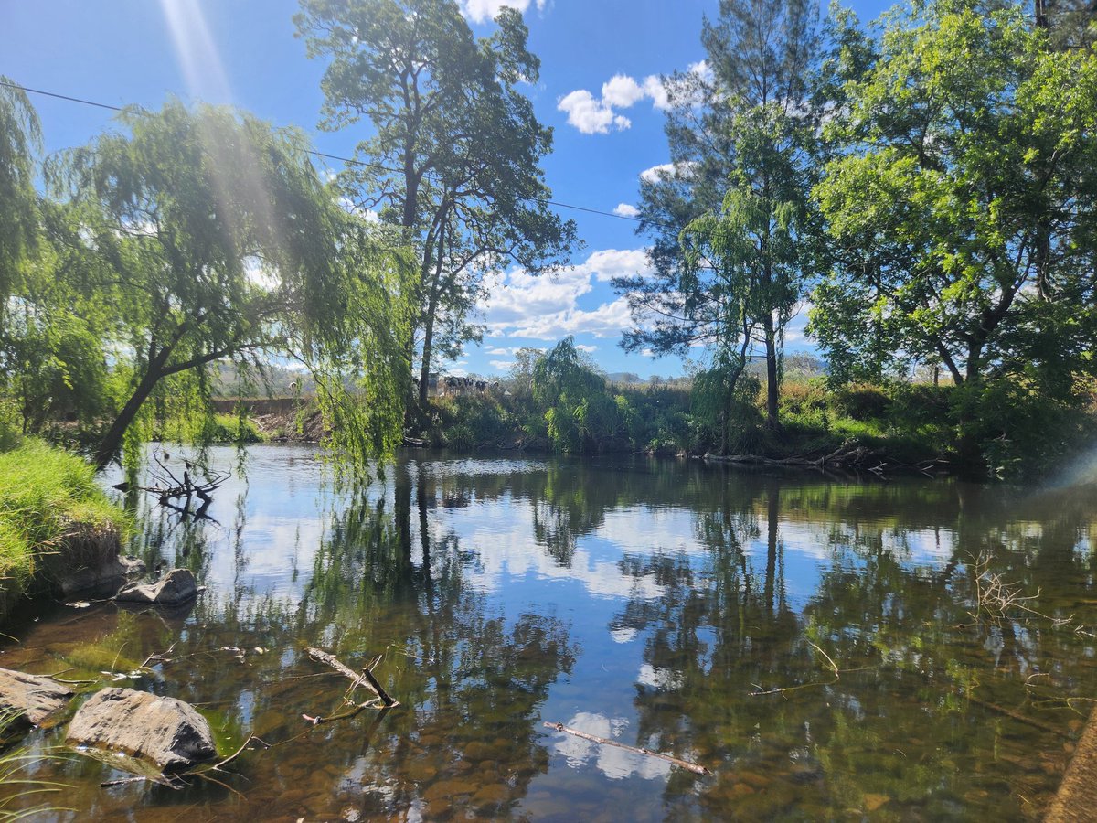 minxiepie20's tweet image. Hi! Im nervous but wanted to show that I took peter out for a swim today since I take him everywhere! #YourBoyfriendPeter #peterdunbar #YourBoyfriendGamePeter