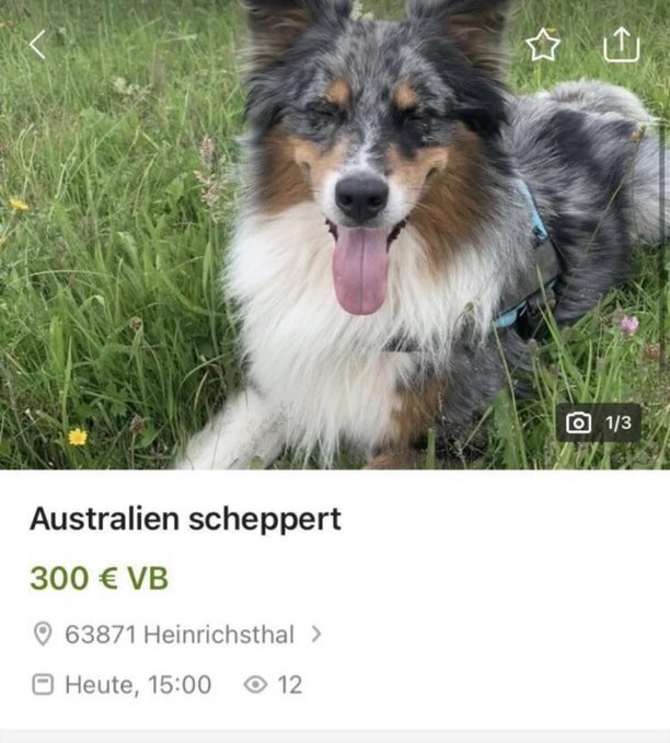 Es scheppert gleich.