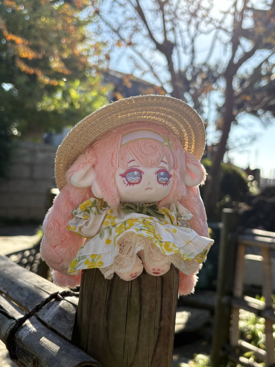 🌸 Cotton College 5cm OUTFIT (Ocg) by <a href="/kisara_nui/">きさらのぬい垢</a>  
⏰ Nov 22
🦴 m.facebook.com/story.php?stor…