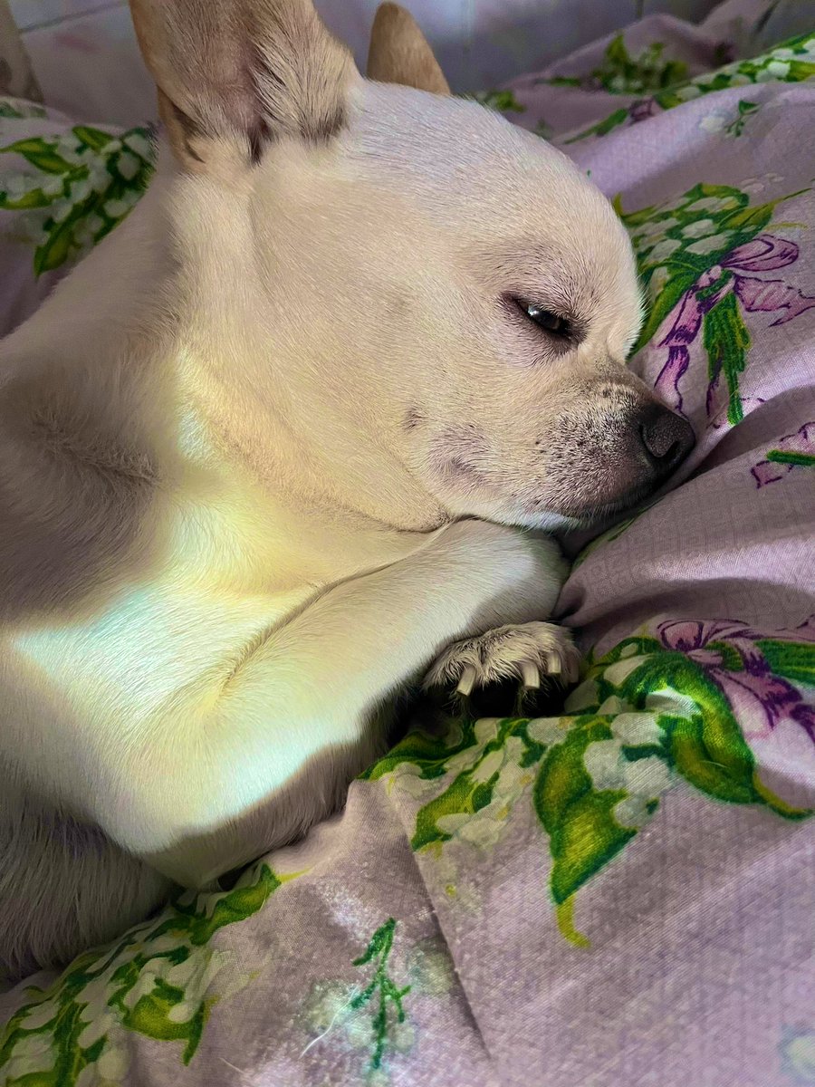 moiis__'s tweet image. Милість 🥰