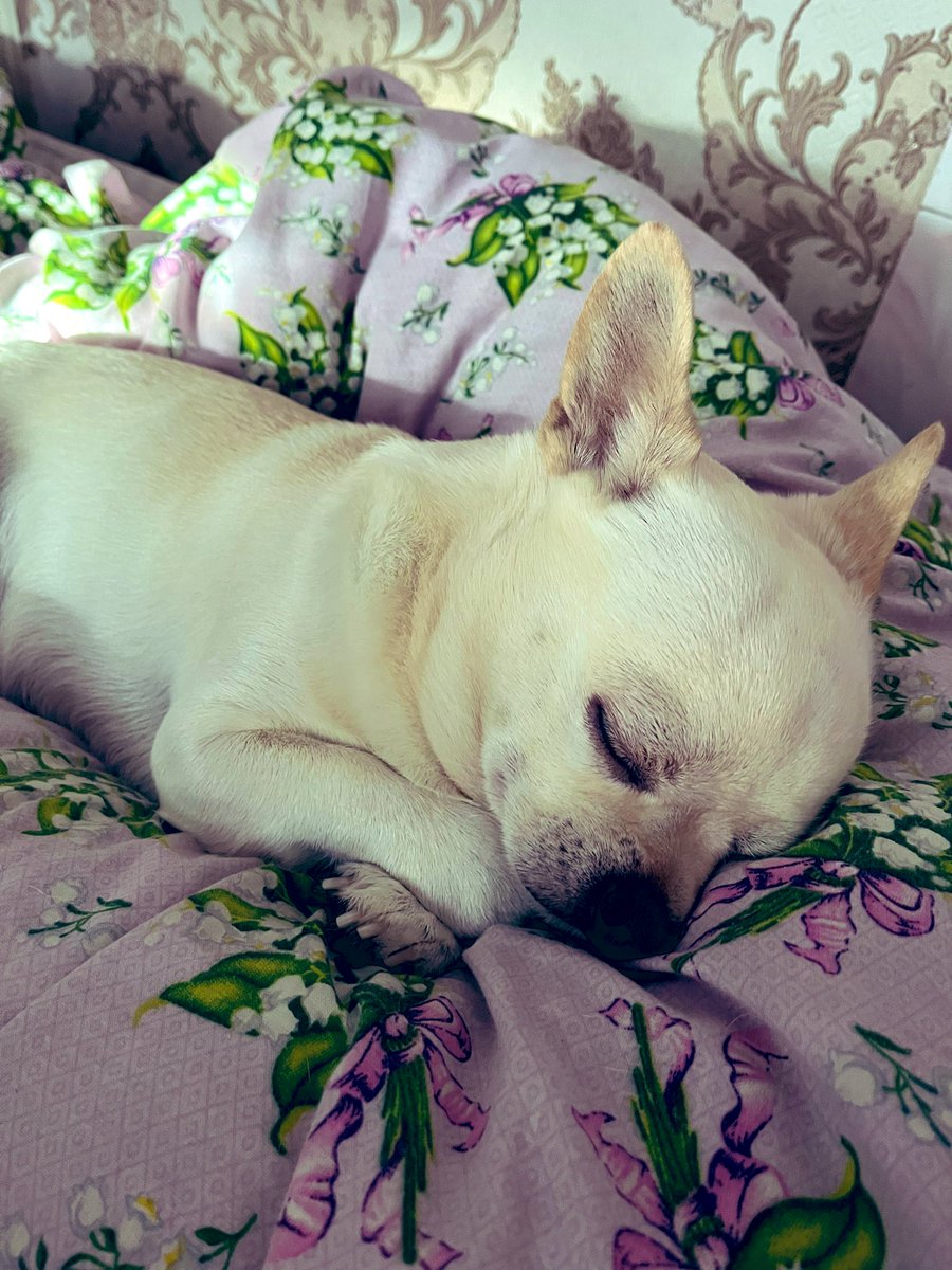 moiis__'s tweet image. Милість 🥰