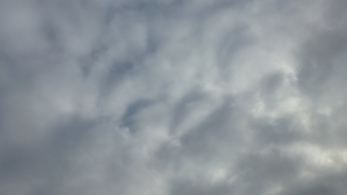 Schnee? – Aus dem luxemburgischen Esch-sur-Alzette erfahren wir, dass Schnee die Straßen bedeckt(e). Wir sind da vorsichtig, denn die Info stammt von heute Morgen.
Wenn wir – wie üblich – unsere Dachtauben in Sachen Wettervorhersage befragen, so wird für den Hunsrück wie auch die