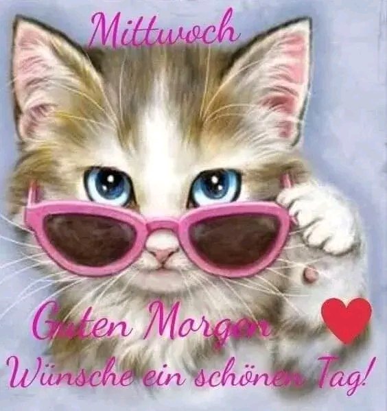 Schönen guten Morgen ☕️