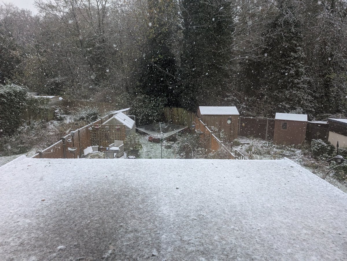 Books By Your Bedside tweet media