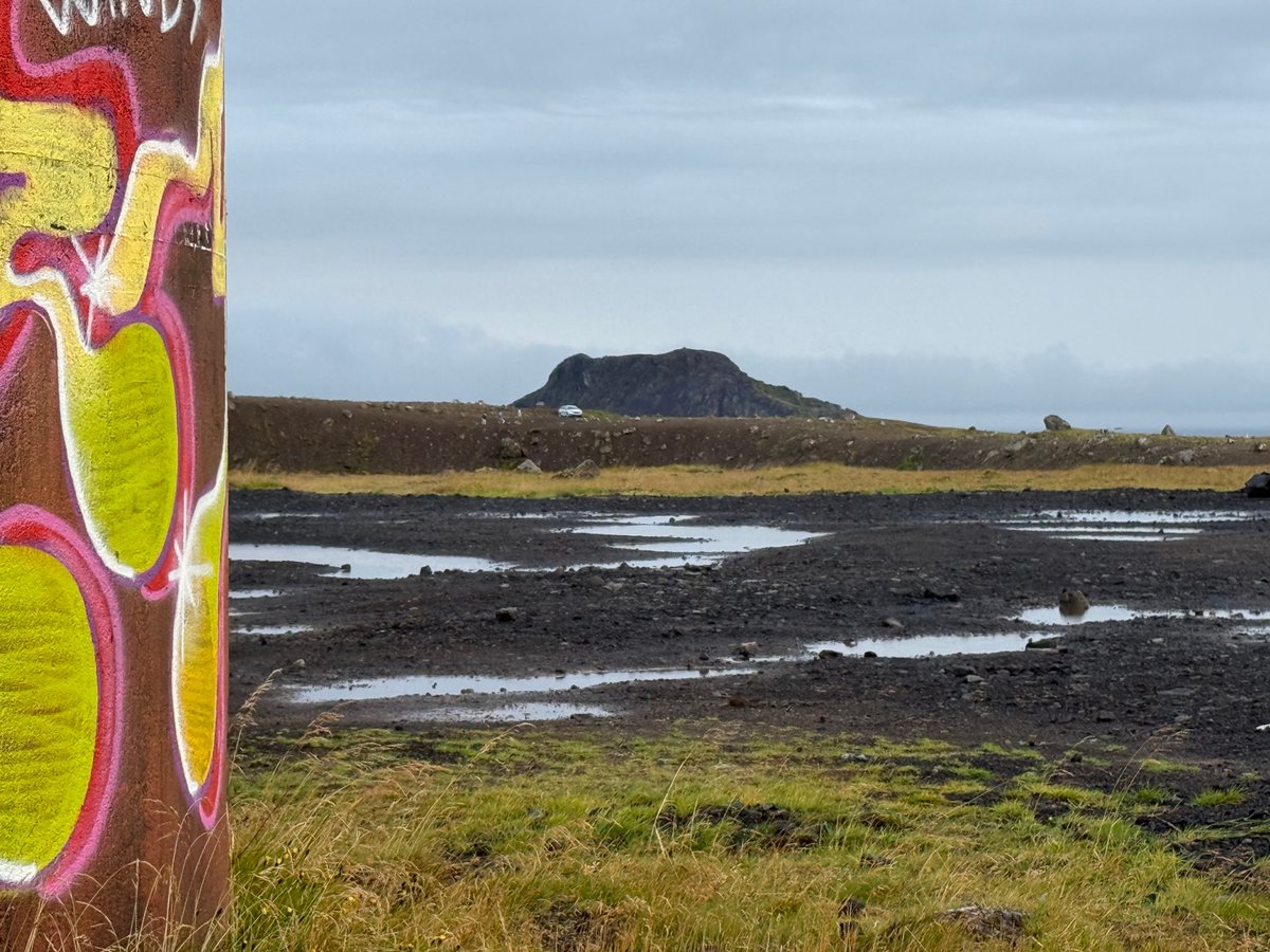 "A deeply moving and beautifully written novel, capturing the fragile, transformative space between adolescence and adulthood with remarkable sensitivity, guiding readers through a journey that is as much about healing as it is about self-discovery. The narrative offers a rare