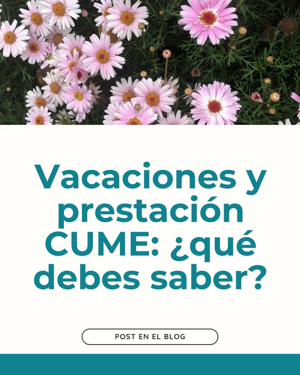 ASFACUME - Asociación tweet media