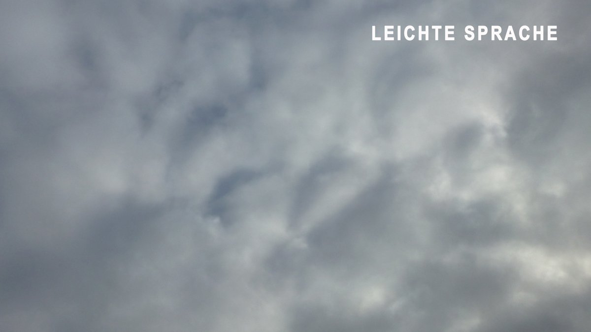 In Luxemburg hat es geschneit.
Genauer gesagt: In der Stadt Esch-sur-Alzette.
Die Straßen sind dort weiß vom Schnee.
Diese Nachricht ist aber schon von heute Morgen.
Wir sind deshalb vorsichtig.
Wie jeden Morgen haben wir unsere Dachtauben gefragt.
Das machen wir immer, wenn wir