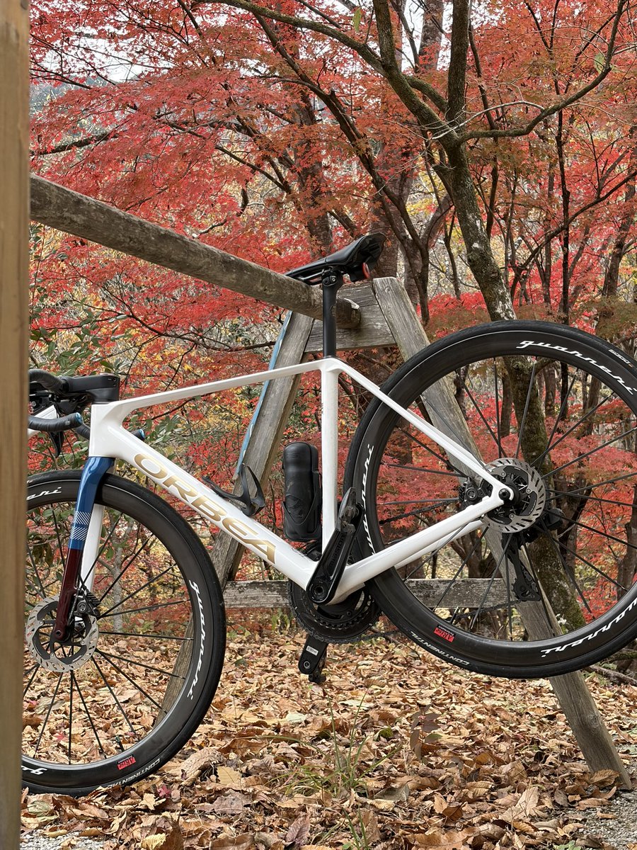 つくづくフレームこの色オーダーしてよかった。するめカラーだよな