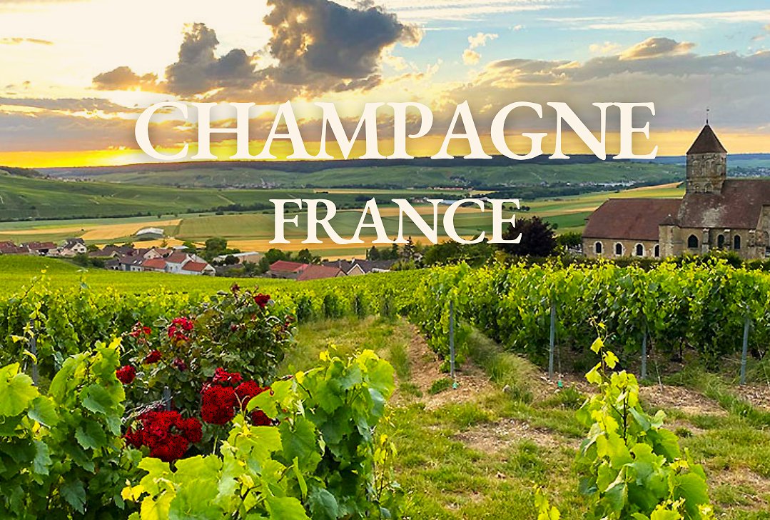 wineworldnews's tweet image. Champagne Wine Guide: Maps, Varietals &amp;amp; Top Producers tinyurl.com/3mza7cye via @enobytes #champagne #knowledge #wineguide #wineknowledge #wineworldnews