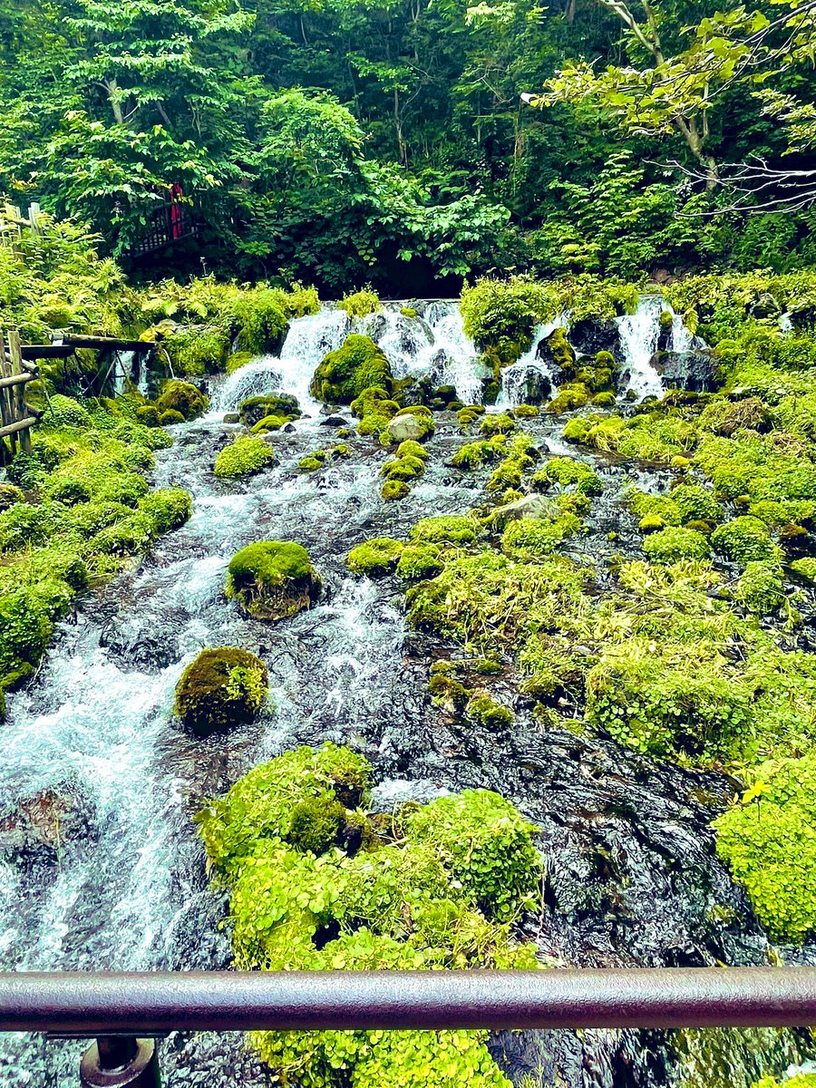 hara_hum's tweet image. こんにちは
なばさん巡礼ツアーガイドの腹筋です⛲️