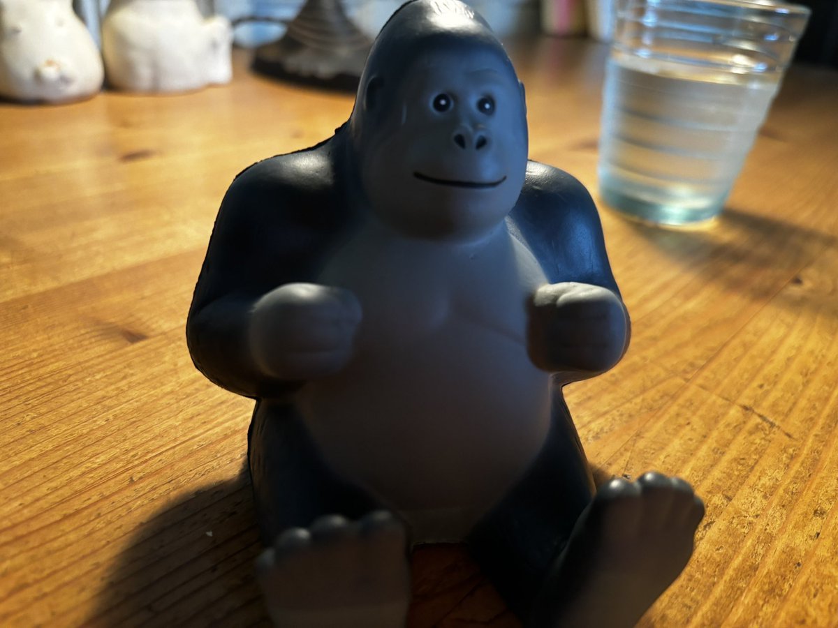 あと5日🦍

当日は今まで作った作品ぜーーーーんぶ
持って行きます♪
ラベル絵担当させていただいたビールたちも広尾からやって来ますし🍺
なんかすごい数になりそうですが、
テーブルあるしきっとなんとかなる！！
設置もがんばる✨笑

ご予約はinfo@chimala.net まで♪