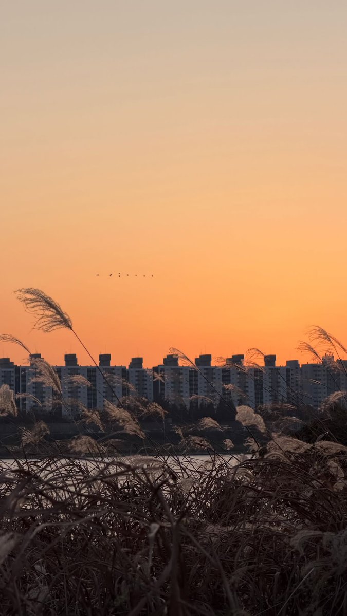 yunou_uinsta's tweet image. [🕒] 251119 YUNHO instagram story

#YUNHO #윤호 #ATEEZ #에이티즈