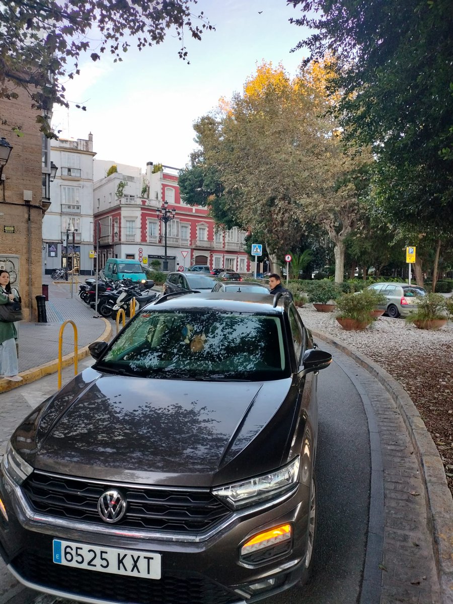 🚌 Enésimo autobús averiado en la Alameda, perjudicando no sólo a las personas usuarias de este servicio público cada vez más lamentable, sino también a numerosos conductores. Atasco gordo.