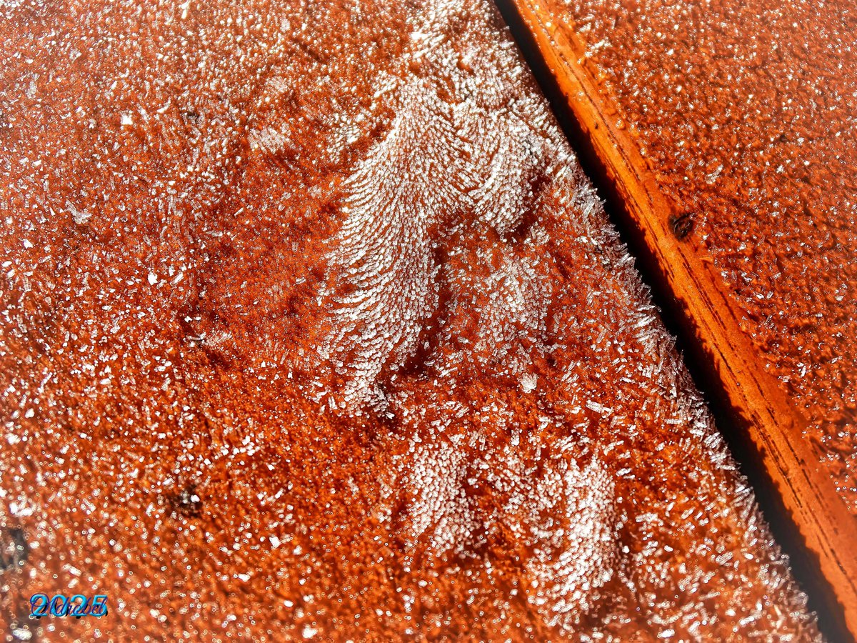 Der Herbst ist da, das Jahr wird spät.  Und doch  die Sonne glüht, – Weg drum mit der Schwermut aus deinem Gemüt! Banne die Sorge, genieße, was frommt, Eh' Stille, Schnee und Winter kommt.
Theodor Fontane