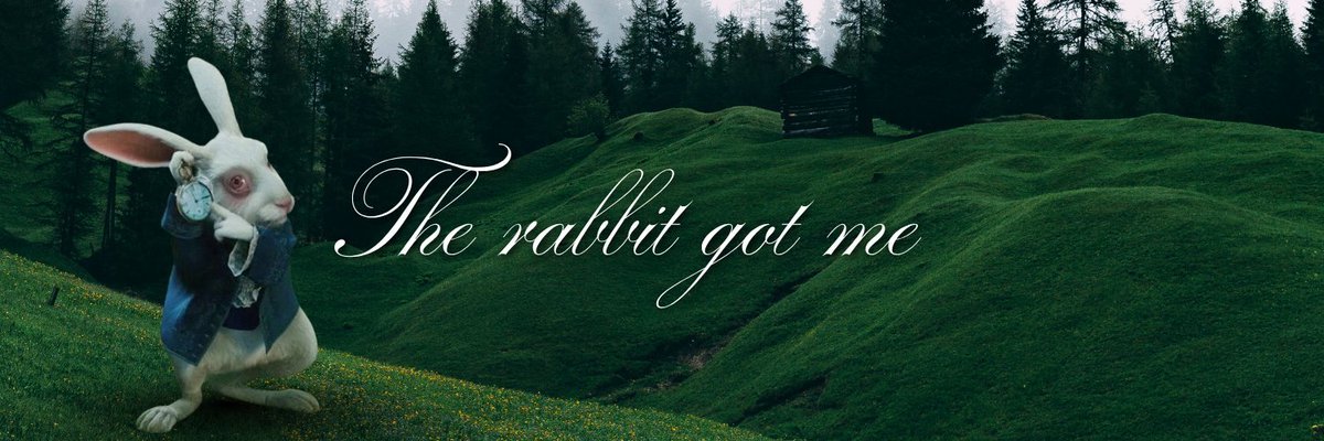 Looks like the rabbit got us all.. the rabbit got me meme is becoming more & more viral. Every day, there's a new TikTok trend – yesterday it was Bird Theory, before