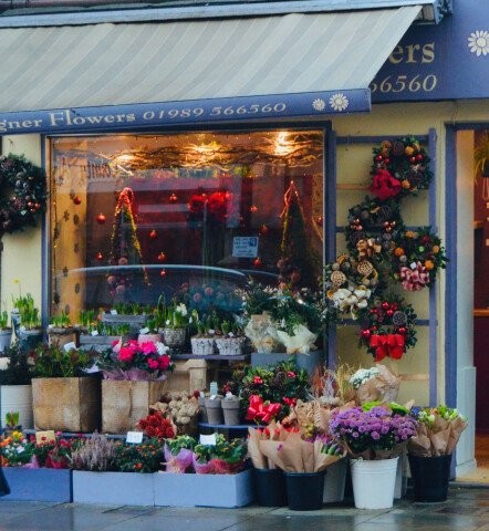 VisitRossOnWye's tweet image. Check out these pictures of Ross at Christmastime in recent years!🎄

What are your reccomendations for Christmas shopping in the town?

#visitrossonwye #visitherefordshire #visitdeanwye