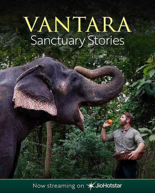 Nirva_999's tweet image. Just brilliant ! 🔥🥹 
@JioHotstar #vantaraforanimals