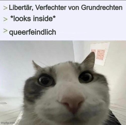 Dragon Tape☭🇨🇺🇵🇸🏳️‍⚧️ (@dragontape161) on Twitter photo 