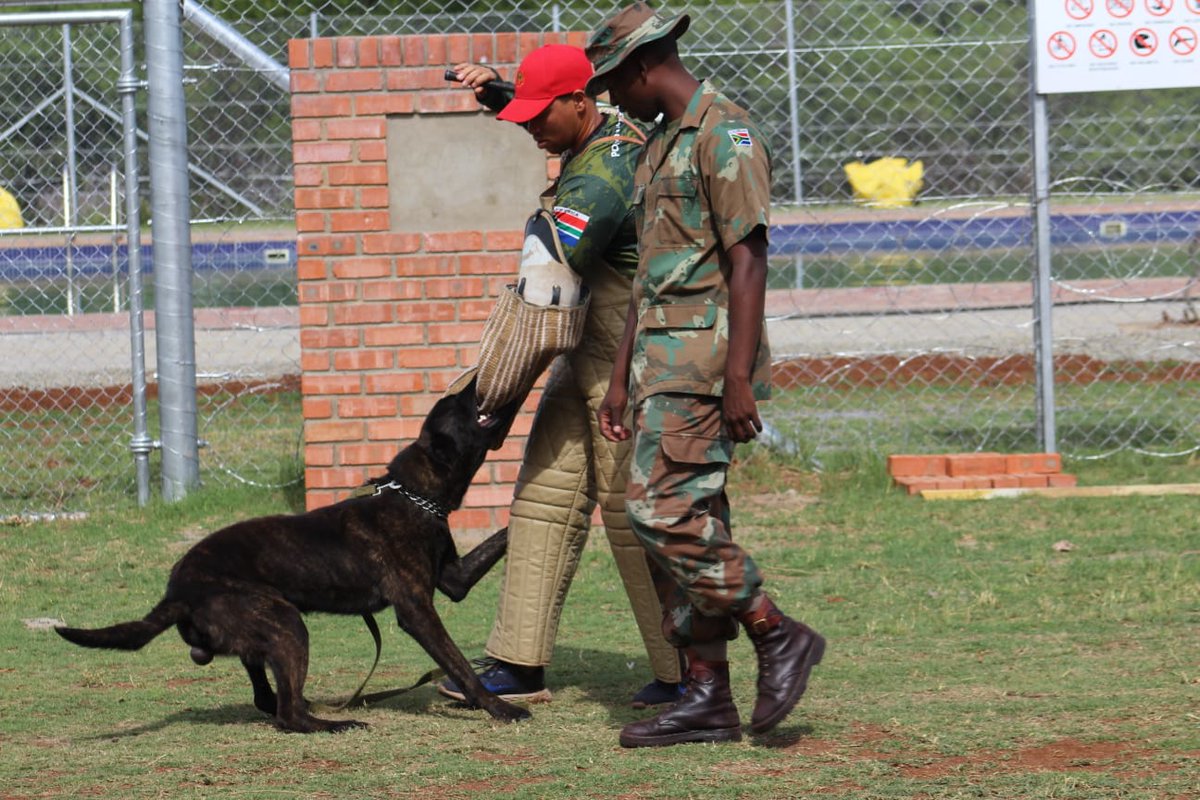 SANDF_ZA's tweet image. #SAArmy Article || Preparations for Exercise VUKUHLOME IV are ongoing, with intensive training for perfection.

facebook.com/share/p/1C1ETu…

#SANDF
#SAArmy
#PrideOfLions
#ExerciseVUKUHLOME_IV