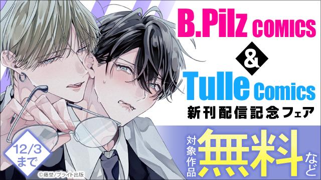 BLゲーム　lesson　アニメイト限定特典 BLゲーム lesson アニメイト限定特典 ☆未開封☆ PC BLゲーム lesson