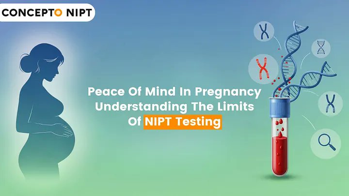 EllywhiteElly's tweet image. Are you looking for the best test center in the UK? Then come to the Private NIPT Lab Services in the UK, and get the accurate result on time.

medium.com/@conceptoclini…

#NIPT #labservices #NIPTTest