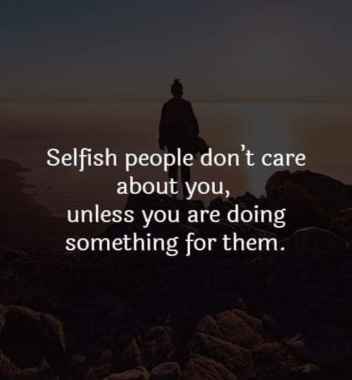 Kevin Messenger tweet media