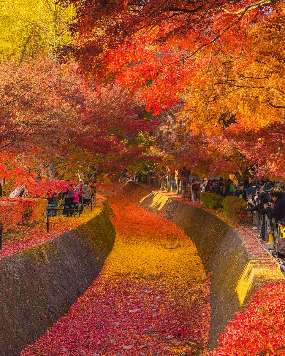 hello dongwon tweet media