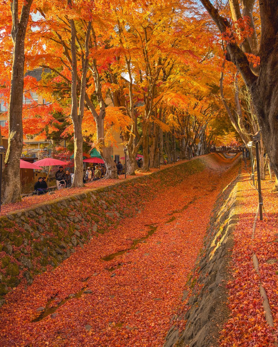 hello dongwon tweet media