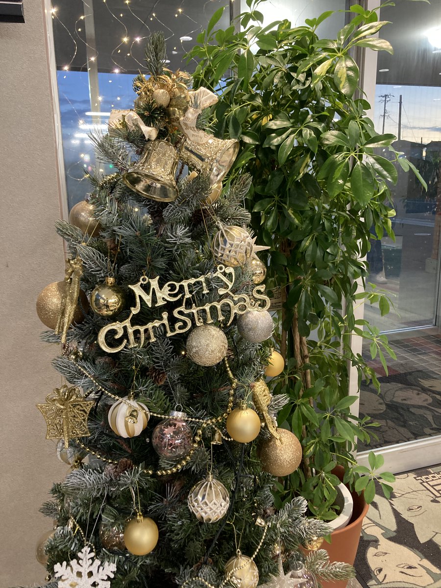 Tomei_DS's tweet photo. TOMEIにクリスマス到来〜🎅🎄✨
キラキラのツリーが教習所を彩ってます💎✨
そして今なら‼︎
友だちと一緒がおトクな
🎁友人紹介キャンペーン『免トモ』大作戦🎁開催中❗️
仲良しと一緒に楽しく免許ゲットしよ〜🚗💨
待ってるよ〜🤗🎉
#藤枝市 #焼津市 #静岡市 #教習所 #クリスマス #免許 #友人紹介 https://t.co/r0X9tkBwZa
