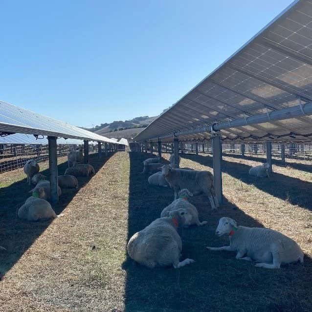 Mark Ogge (@markogge) on Twitter photo 