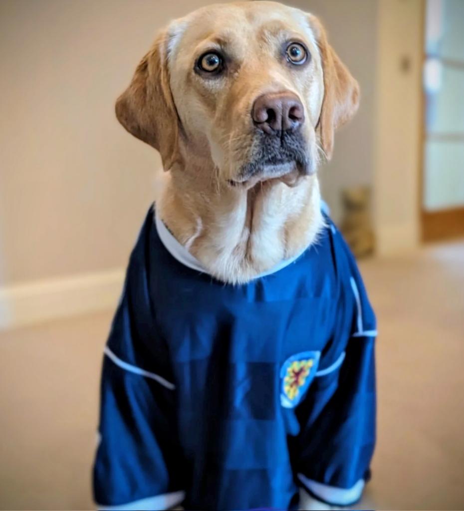 Scotland woke up this morning to freezing temperatures, strong winds, breath fizzing in the air, and an arctic chill.

Nobody cares about the weather today. 
Scotland has qualified for the World Cup, and I’ve got a feeling inside me I haven’t had since I was a child at Christmas.