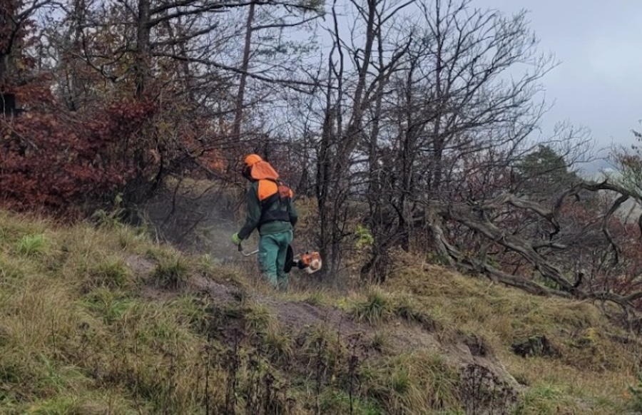 Eifelkreis: NABU-Ehrenamtliche schützen wertvolles Biotop vor Verbuschung

Zum Artikel: lokalo.de/artikel/390275…