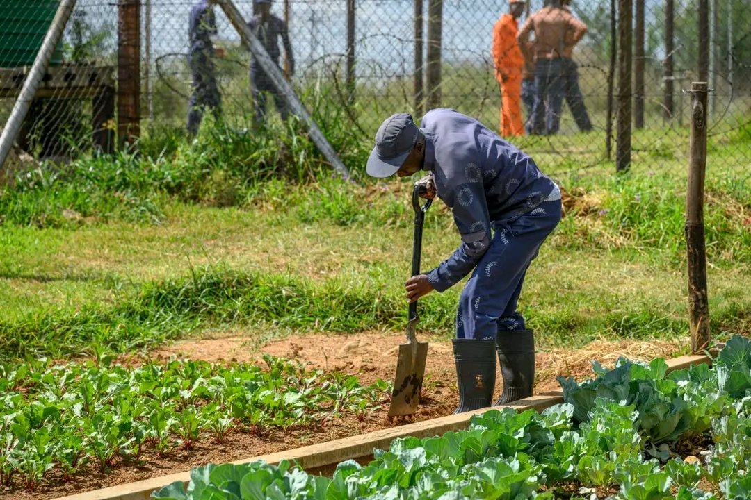 DCS_ZA's tweet image. Healthy relationships are key to successful reintegration. The programme equips youth with the skills to:

💬 Communicate effectively
😤 Handle their own anger in constructive ways
🧘 Respond safely to anger or conflict from others

facebook.com/10006901132463…