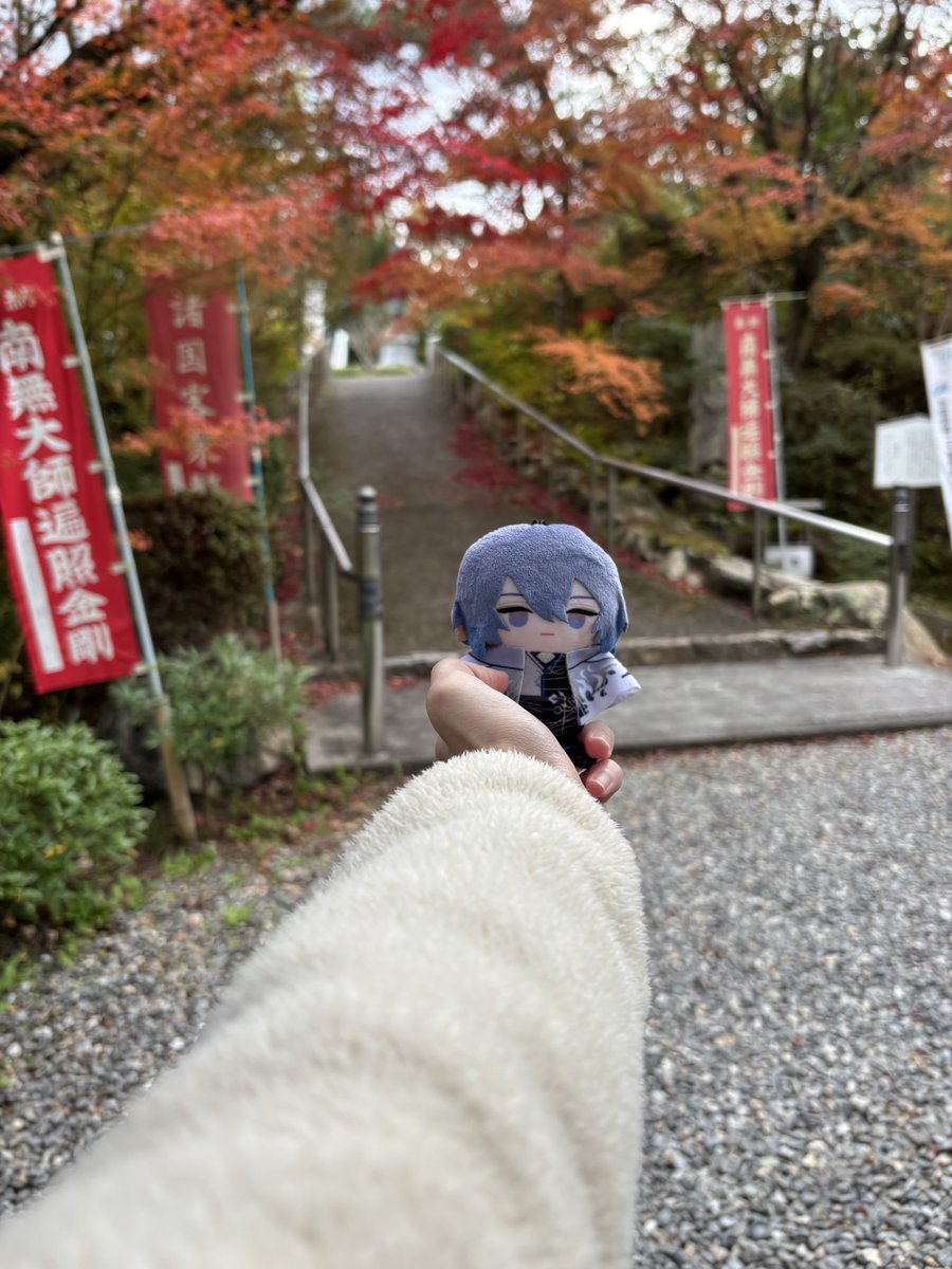 猫月@たまにネコ子 tweet media