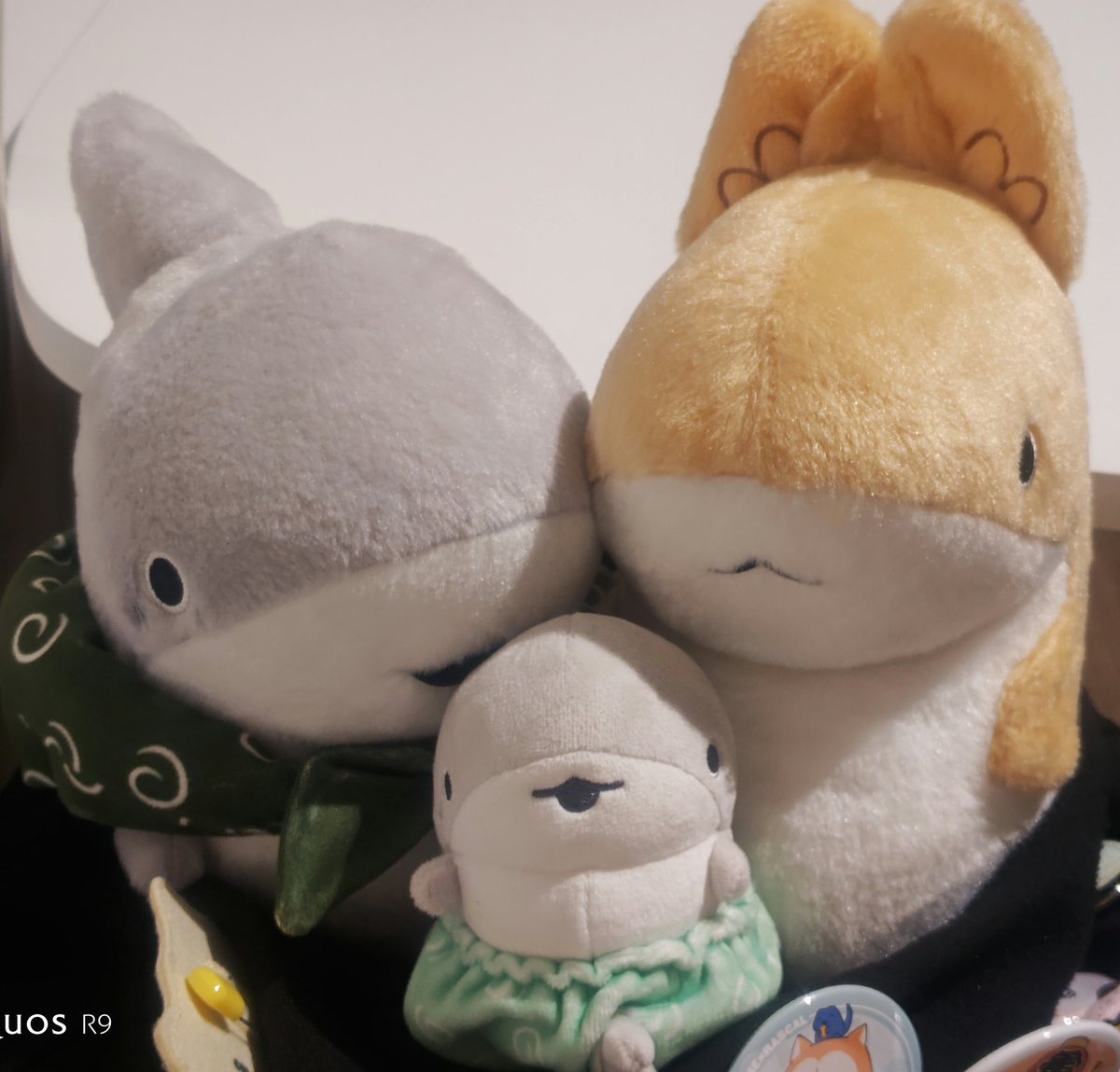 IDEAMASTER10's tweet image. 私のチルタイム。
この子たちがいてくれるので、もう少しがんばれます！
ベビー子ザメ、おしめのお着替えです。
#おでかけ子ザメ
#子ザメちゃん
#うさめちゃん
#ベビー子ザメちゃん