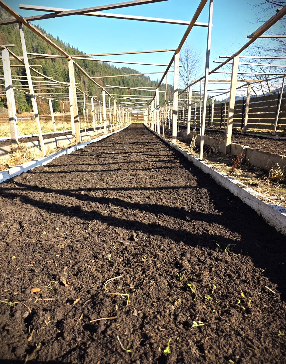 🌱📸 Înființarea patului nutritiv la pepiniera silvică a Ocolului Silvic Falcău din cadrul #Romsilva, proces care presupune pregătirea solului prin îndepărtarea resturilor grosiere, afânarea stratului superficial, uniformizarea litierei și a humusului

#Romania #forestry #păduri