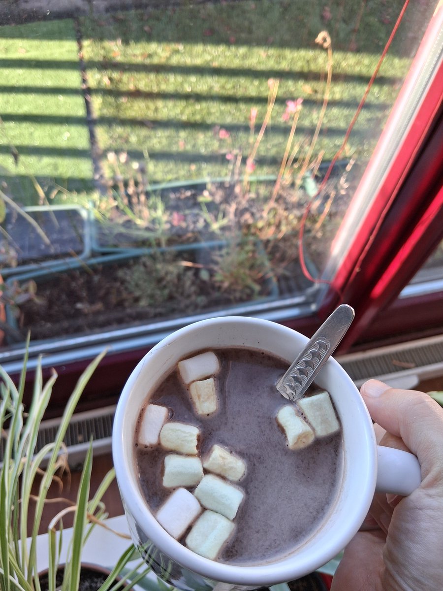 Heute ist Buß und Bettag. Wisst ihr was das heißt? Mehr Zeit für Schnittmarie ♡