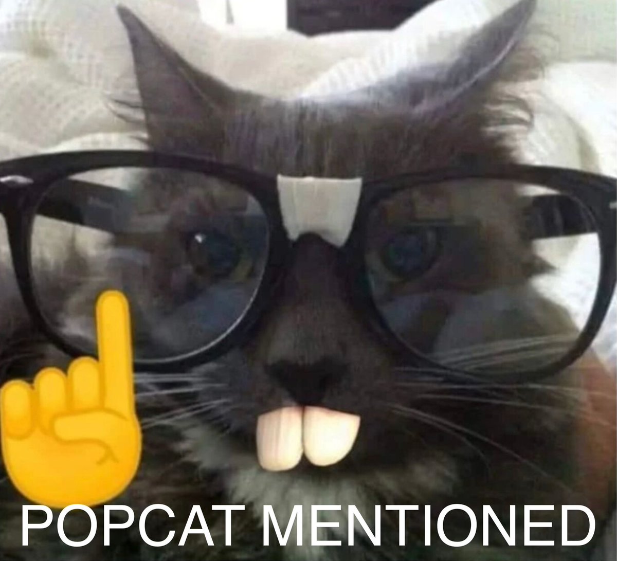 MellowWαllow.pop tweet media
