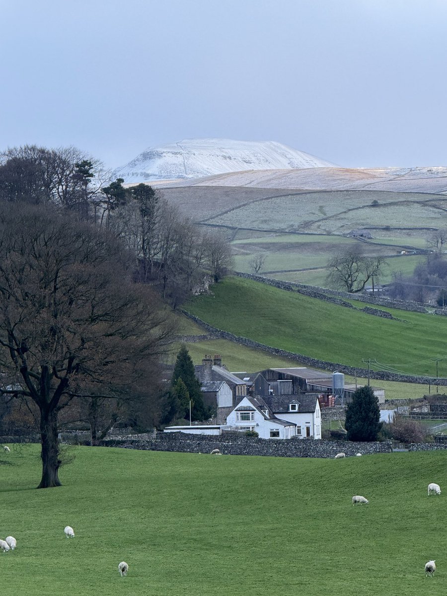 MARK CORNER tweet media