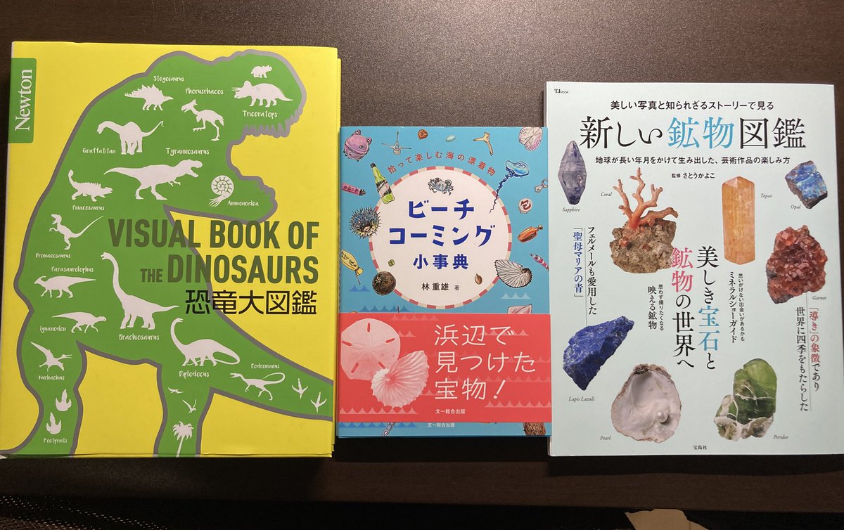 仕事帰りに購入！
・なぜか娘がハマり出した恐竜
・そろそろ遠征したいビーチコーミング
・いつもの鉱物シリーズ
のんびり読むぞー
