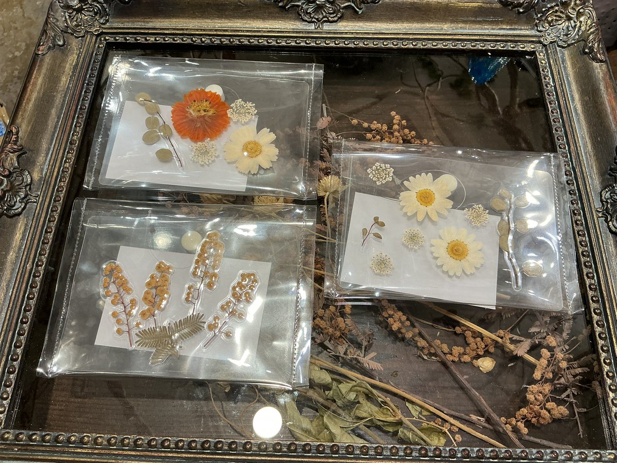 a_cupapa's tweet image. 👘路地裏3坪雑貨店　京都八坂店　１階👘
🎍年末年始2025〜2026🎍12/6〜1/12

TicaTica様から素敵な作品が届きました 🎶
ありがとうございます🌟

お花を閉じ込めた耳飾りはうるちゅるな透明感がとても可愛いです🫧✨…