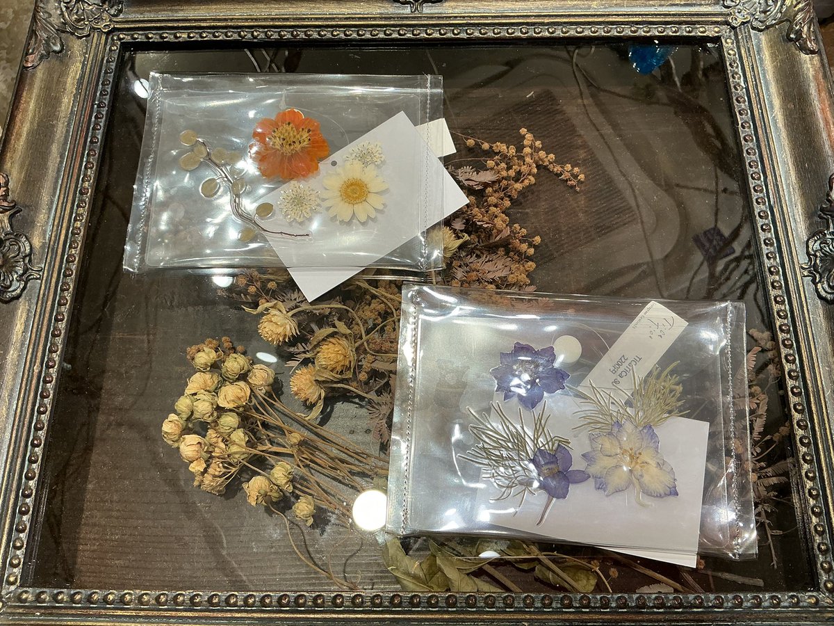 a_cupapa's tweet image. 👘路地裏3坪雑貨店　京都八坂店　１階👘
🎍年末年始2025〜2026🎍12/6〜1/12

TicaTica様から素敵な作品が届きました 🎶
ありがとうございます🌟

お花を閉じ込めた耳飾りはうるちゅるな透明感がとても可愛いです🫧✨…