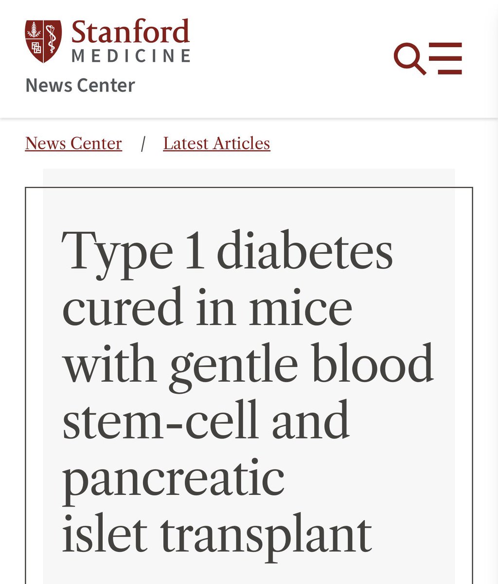 Image 3 for Stanford researchers claim to have cured Type 1 diabetes in mice