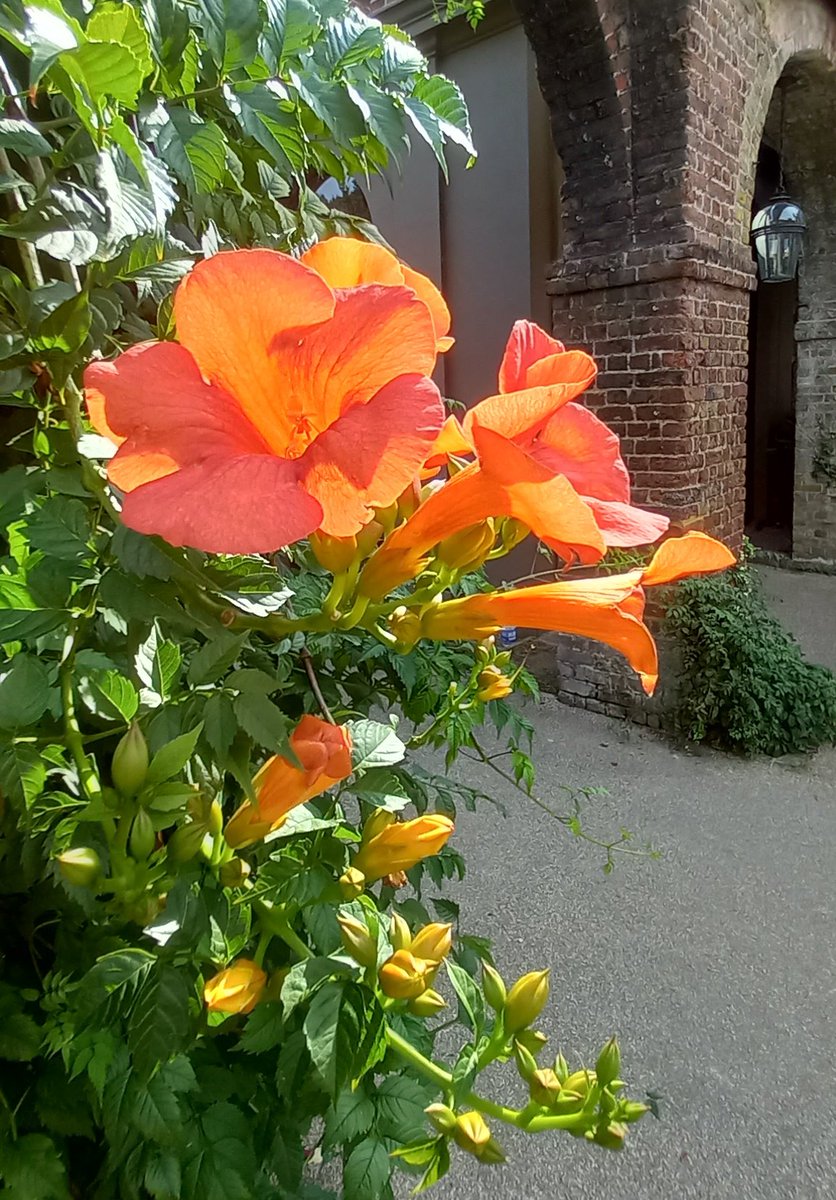 TaoGardening's tweet image. Today is my new favourite day 😁